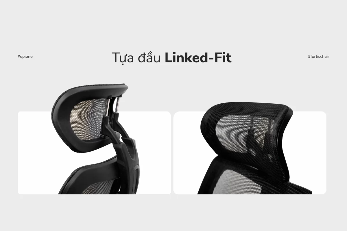 Tựa đầu Linked-Fit